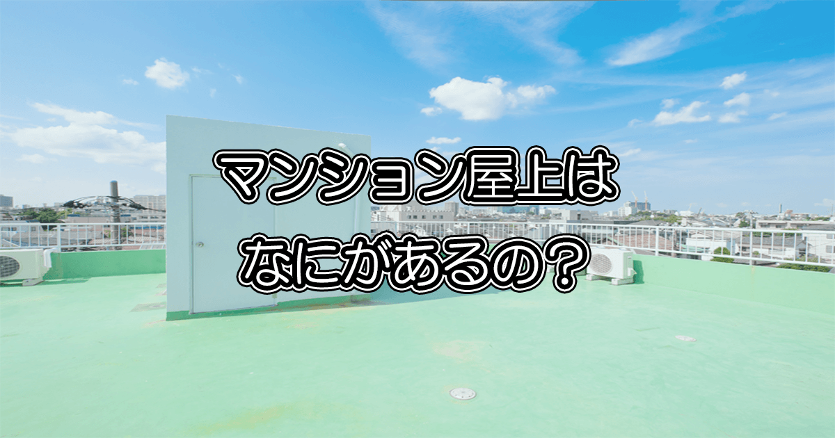 屋上